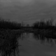 Untitled #12 (The Marsh)